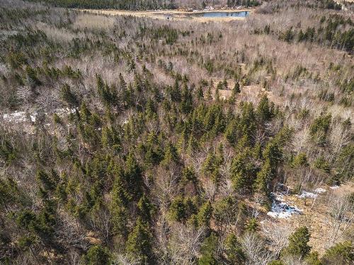 100 Acres Route 19, Troy, NS 