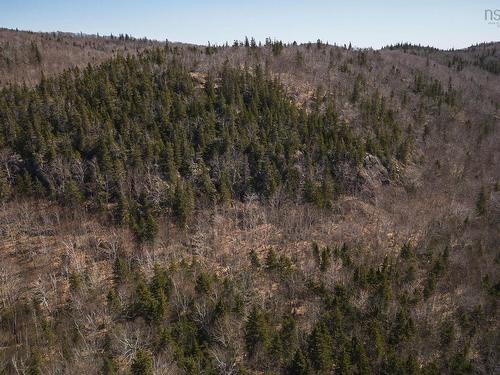 100 Acres Route 19, Troy, NS 