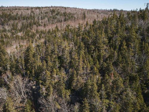 100 Acres Route 19, Troy, NS 