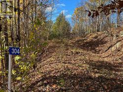 304 LACOURSE LANE Lanark Highlands, ON K0A 3L0