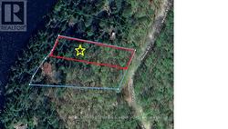 1238 MALCOLM ROAD Highlands East (Cardiff Ward), ON K0L 1C0