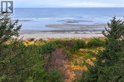 12531 TOW HILL ROAD Masset, BC V0T 1M0