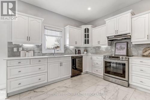 328 Plane Tree Drive, London North (North R), ON - Indoor Photo Showing Kitchen With Upgraded Kitchen