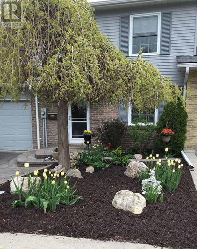 35 PARKLAND COURT  Aurora, ON L4G 3M5