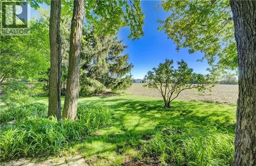 239 Corrie Crescent, Waterloo, ON - Outdoor