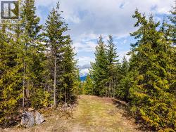 400 Lexington Avenue Procter, BC V0G 1V0