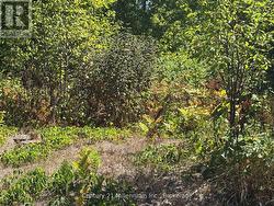 931 RIVER ROAD E Wasaga Beach, ON L9Z 2P4