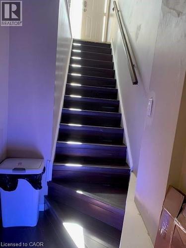 Stairway featuring dark wood steps, a light-colored handrail, and a white door at the top - 65 Cardill Crescent Unit# B, Waterloo, ON - Indoor Photo Showing Other Room