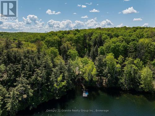 1145 MINK ROAD  Dysart Et Al (Dudley), ON K0M 1S0