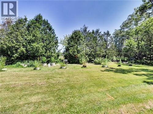 Expansive green lawn with established perimeter trees and scattered garden planters - 9183 Silver Street, Caistor Centre, ON - Outdoor