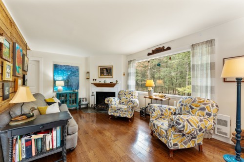 Salon - 217 Ch. Lord, Hatley - Municipalité, QC - Indoor Photo Showing Living Room With Fireplace
