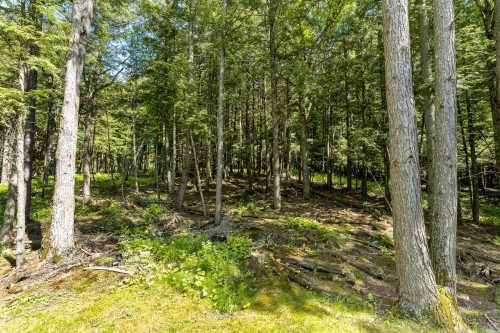 Extérieur - 217 Ch. Lord, Hatley - Municipalité, QC - Outdoor With View