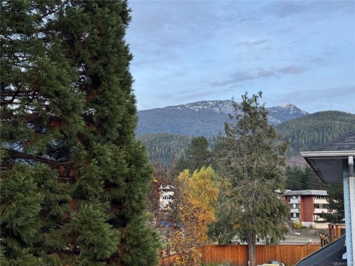 413 Cedar Cres, Gold River, BC 