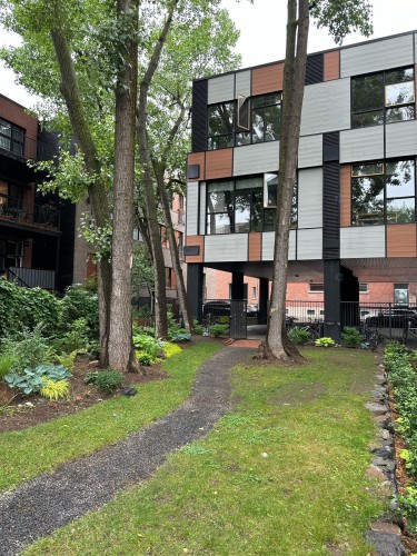 Garden - 205-1885 Rue De La Visitation, Montréal (Ville-Marie), QC - Outdoor