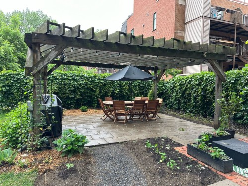 Garden - 205-1885 Rue De La Visitation, Montréal (Ville-Marie), QC - Outdoor