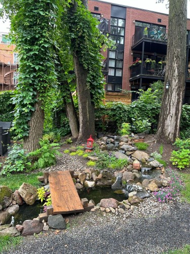 Garden - 205-1885 Rue De La Visitation, Montréal (Ville-Marie), QC - Outdoor