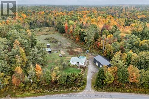 1741 DOE LAKE ROAD  Gravenhurst (Muskoka (S)), ON P1P 1R3