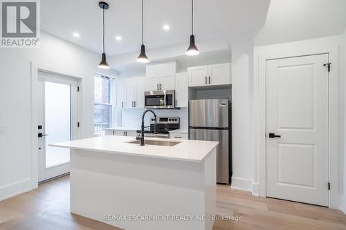 204 Balsam Avenue, Hamilton, ON - Indoor Photo Showing Kitchen With Double Sink With Upgraded Kitchen