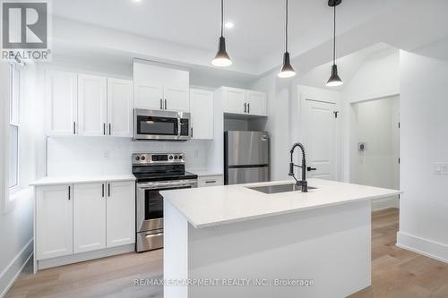 204 Balsam Avenue, Hamilton, ON - Indoor Photo Showing Kitchen With Stainless Steel Kitchen With Upgraded Kitchen
