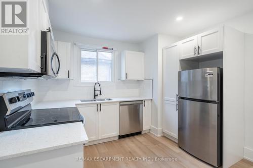 204 Balsam Avenue, Hamilton, ON - Indoor Photo Showing Kitchen With Stainless Steel Kitchen With Double Sink