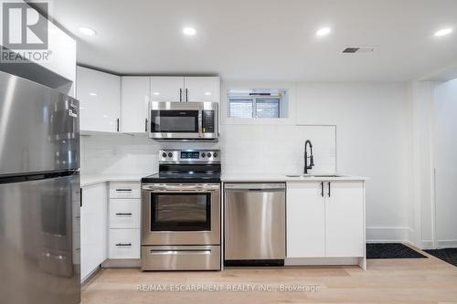 204 Balsam Avenue, Hamilton, ON - Indoor Photo Showing Kitchen With Stainless Steel Kitchen With Upgraded Kitchen