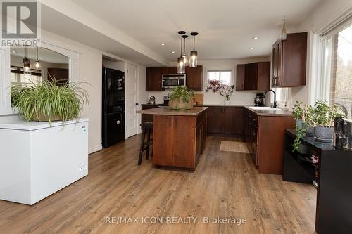 103 Glazebrook Crescent, Cambridge, ON - Indoor Photo Showing Kitchen