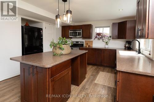 103 Glazebrook Crescent, Cambridge, ON - Indoor Photo Showing Kitchen