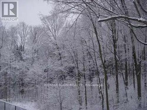 103 Glazebrook Crescent, Cambridge, ON - Outdoor With View