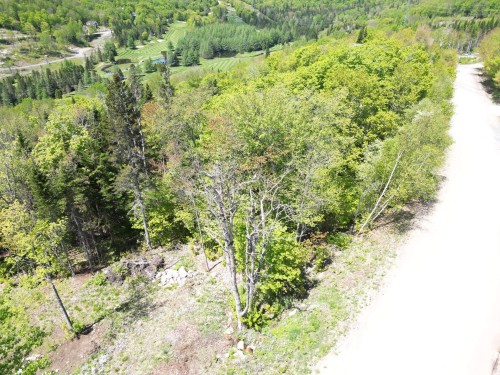 Photo aérienne - Allée Du 5E, Mont-Blanc, QC 