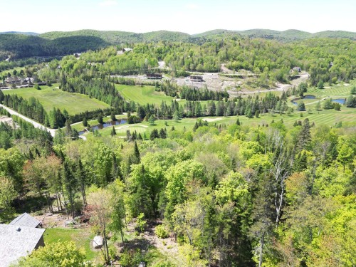 Photo aérienne - Allée Du 5E, Mont-Blanc, QC 