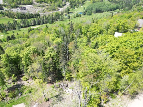 Photo aérienne - Allée Du 5E, Mont-Blanc, QC 