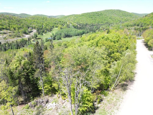 Photo aérienne - Allée Du 5E, Mont-Blanc, QC 