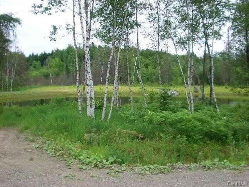 Terre/Terrain - Rue Des Mélilots, Austin, QC 