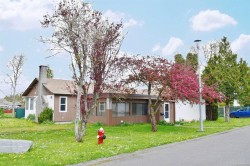 4037 Cumberland Rd Saanich, BC V8X 2E7