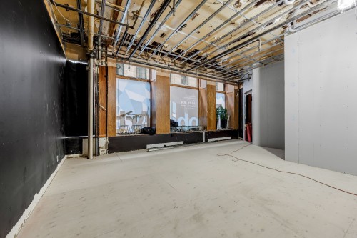 Vue d'ensemble - 430 Rue St-François-Xavier, Montréal (Ville-Marie), QC - Indoor