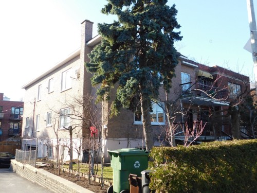 Exterior - 3051 Av. De Brighton, Montréal (Côte-Des-Neiges/Notre-Dame-De-Grâce), QC - Outdoor