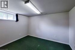 Lower-level room featuring a window with exterior visibility, overhead fluorescent lighting, white baseboards, and green carpeting - 