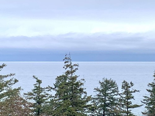 321 Wireless Rd, Comox, BC 