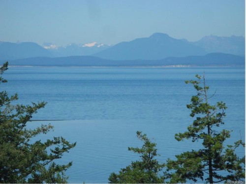 321 Wireless Rd, Comox, BC 