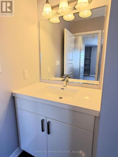 124 Daylily Lane, Kitchener, ON - Indoor Photo Showing Bathroom