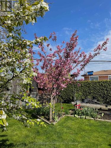 1188 Westerdam Road, Mississauga, ON - Outdoor