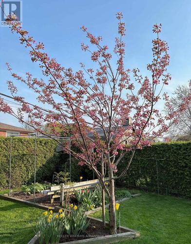 1188 Westerdam Road, Mississauga, ON - Outdoor