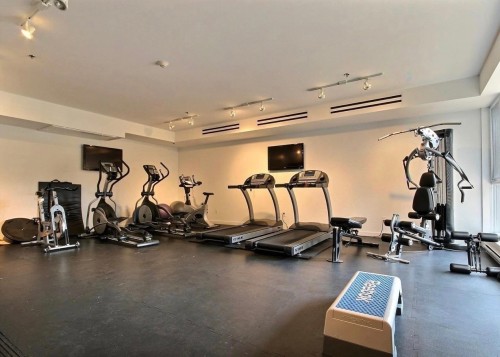 Salle d'exercice - 115-750 32E Avenue, Montréal (Lachine), QC - Indoor Photo Showing Gym Room