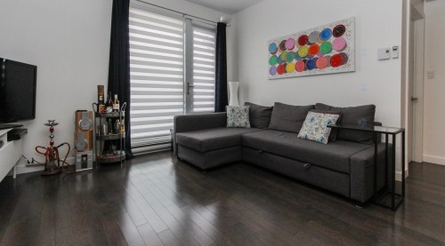 Salon - 115-750 32E Avenue, Montréal (Lachine), QC - Indoor Photo Showing Living Room