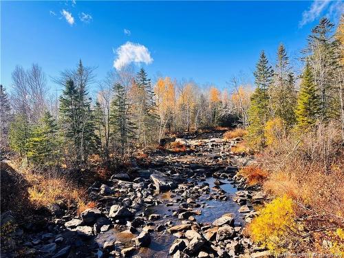 243 Acres Little River Rd, Bathurst, NB 