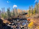 243 Acres Little River Rd, Bathurst, NB 