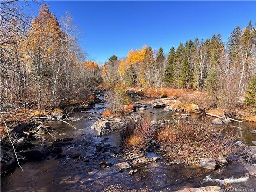 243 Acres Little River Rd, Bathurst, NB 