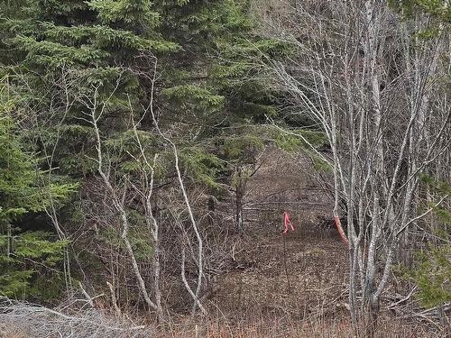 25-1 Middle River Road, Rocklin, NS 