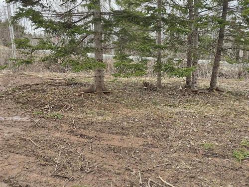 25-2 Middle River Road, Rocklin, NS 