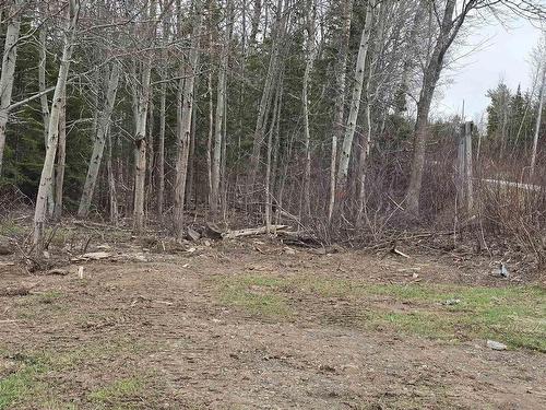 25-2 Middle River Road, Rocklin, NS 